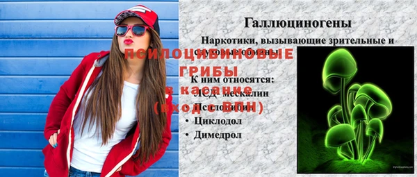 mdpv Дмитриев