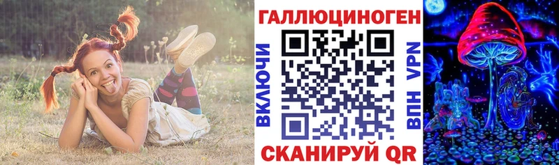 ссылка на мегу как зайти  Фролово  Псилоцибиновые грибы GOLDEN TEACHER 
